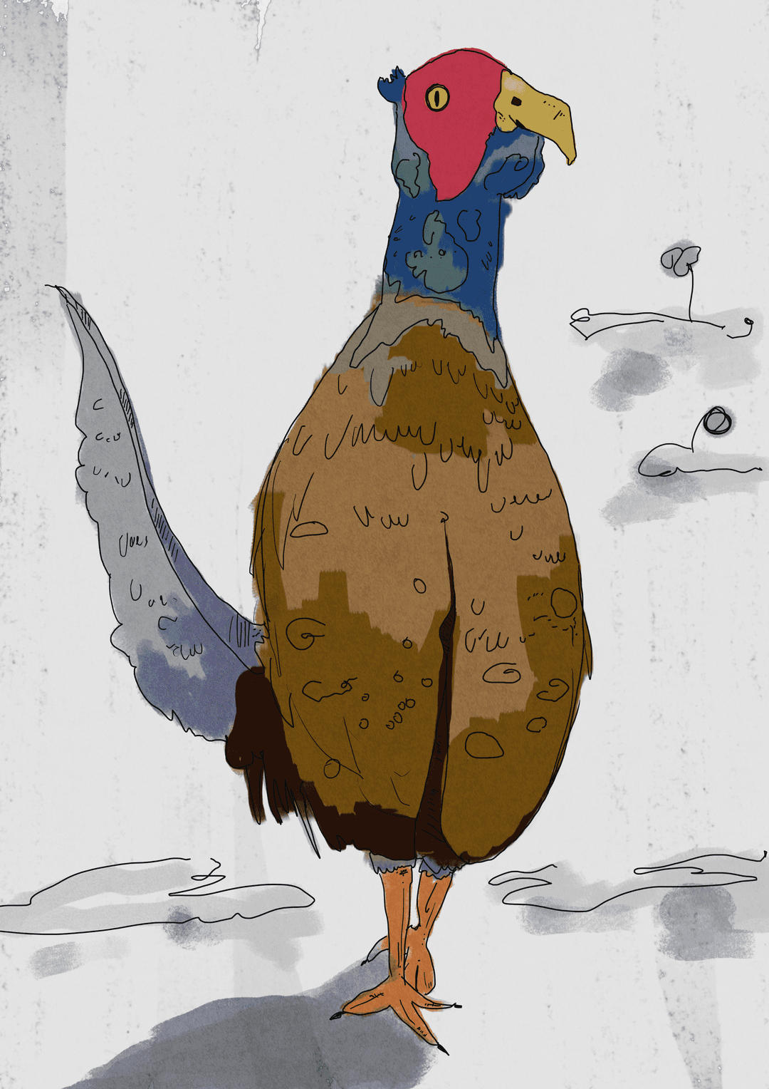 Pheasant